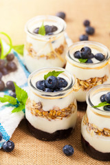 Greek Yogurt with Blueberries and Granola Parfait. Selective focus.