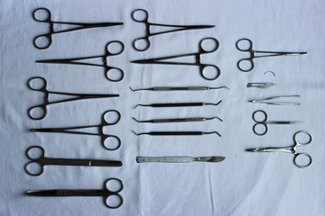 surgical instruments and tools including scalpels, forceps and tweezers arranged laid out on a blue fabric after washing to dry for a surgery. veterinary clinic