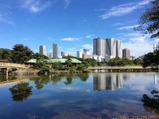Fototapeta na wymiar park in tokyo