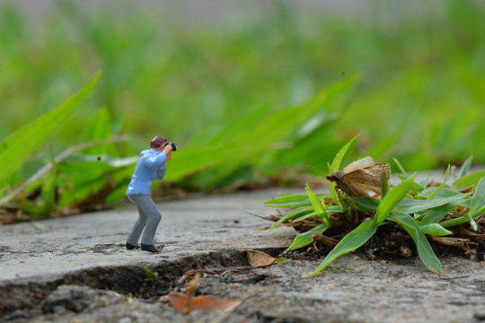 Fugure fotografer macro