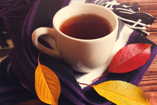 Cup of English tea with warm scarf and autumn leaves