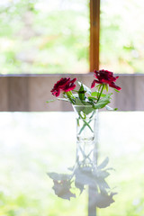 窓辺のテーブルの薔薇