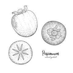 Fruit illustration with persimmon in the style of engraving. Detailed vegetarian food. Hand drawn elements for menu, greeting cards, wrapping paper, cosmetics packaging, labels, tags, posters etc.