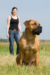 Frau mit Hund auf einer Wiese