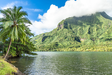 Moorea Island in the French Polynesia.