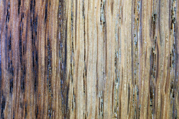 Wooden textured backgrounds