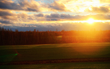 Sunset in field