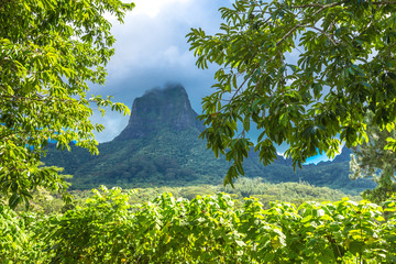 Moorea Island in the French Polynesia.