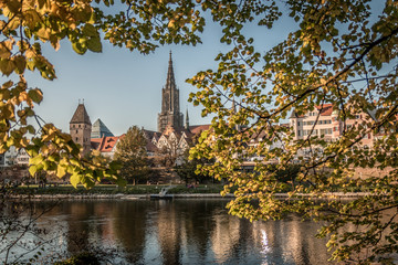 Herbst in Ulm © Herzenslust