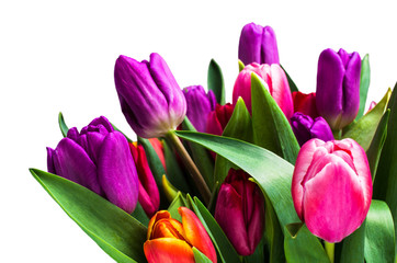 Bouquet with colorful tulips