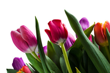 Bouquet with colorful tulips