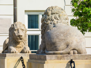 Stone statues of lions on the street of Warsaw