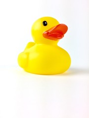 Yellow toy duck isolated on a white background