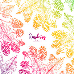 Colorful vector frame with raspberry. Healthy food design template with berries. Vegetarian food for label, packaging design, menu, cafe, restaurant, recipes, decoration kitchen items.