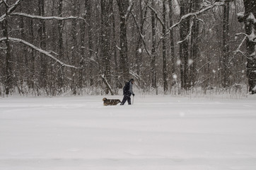 a man is walking with a dog under a heavy snowfall
