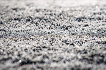 Grass covered with the hoarfrost at dawn