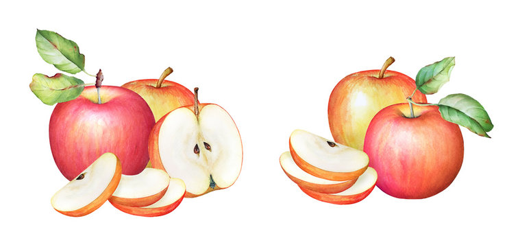 Watercolor illustration of the apples with green leaves isolated on white background. Collection of the apple fruits.