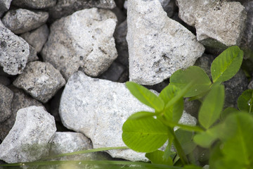 A pile of stones against the background of grass. Crushed stone and grass in dew