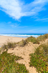 Fototapeta na wymiar A view of sandy Castelejo beach from sand dune, famous place for surfing, Algarve region, Portugal
