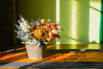 Beautiful Color Flowers in pot on table with sun light from windows