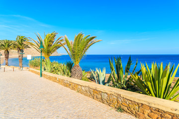 Fototapeta na wymiar Coastal promenade with palm trees in Luz town, Algarve region, Portugal