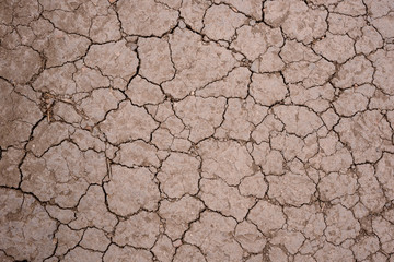 Dry, scorched earth in cracks