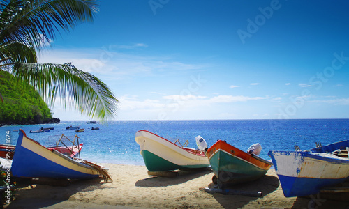 Plage Palmier Et Bateaux Face à La Mer Des Caraïbes