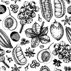 Vector collection of tonic and spicy plants. Hand drawn spices illustrations . Vintage set of aromatic elements. Sketched flowers, leaves, seeds, fruits, nuts, beans.