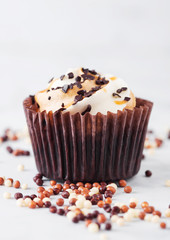 Fresh cupcake muffin with caramel and chocolate