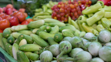 cabbage, cucumber, tomato, Solanum laciniatum, and Eggplant fresh from farm in supermarket