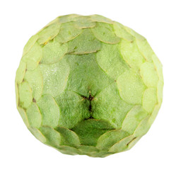 Green cherimoya fruit isolated on white background