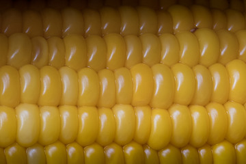 close up Yellow sweet baby corn was on the table with reflection mirror prepare for serve and eating or cooking on break time.  this photo can be sweetcorn wallpaper