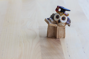 The owl professor