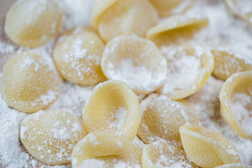 Orecchiette pasta fatta a mano