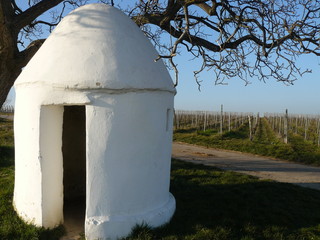 Weinbergtrullo in Flörsheim-Dalsheim / Rheinhessen