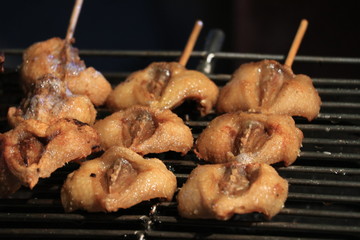 Close up grilled duck on fire stove