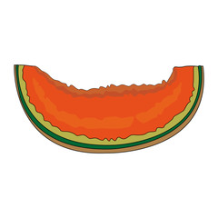 cantaloupe sweet fruit vector illustration graphic design