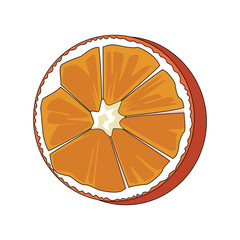 Orange citric fruit vector illustration graphic design