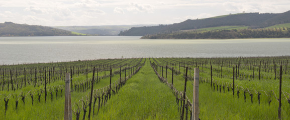 Umbria Italy landscape