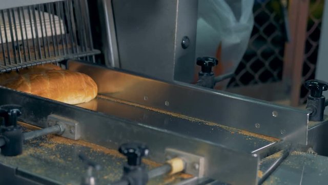 The worker removes sliced long loaf from the conveyor.