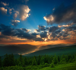 Dramatic sunset over mountains and green pine forest