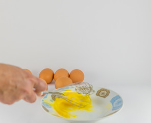 organic chicken eggs