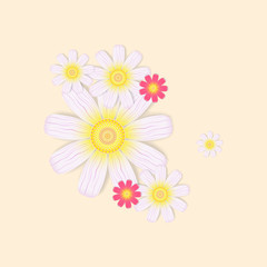 Delicate compositions of colors.