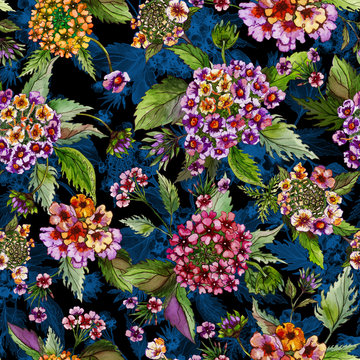 Beatiful lantana flowers with green leaves on black and blue background. Seamless floral pattern.  Watercolor painting. Hand drawn illustration.