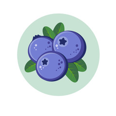 Blueberry illustration. Red berries in green circle.