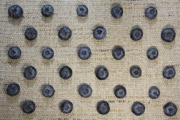 Blueberry gunny wall