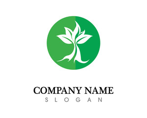 Tree leaf vector logo design, eco-friendly concept.