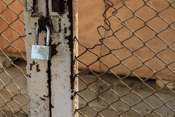 Chrome padlock with dirty stain on skin locked rusty and scratch color metal door in sunset. Iron lock was worked with locking bracket and damaged old wire mesh door. Selective focus and vintage style