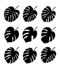 Tropical plant leaves. Silhouettes of monstera leaves. Set monstera leaves on white background. Vector illustrations. © helenfox