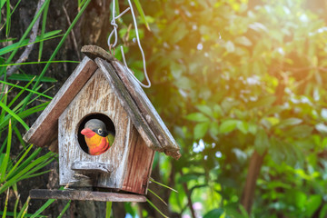 Old wooden birdhouse was hanging under big tree with green leaves background and sunset light